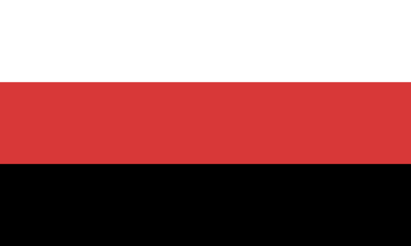 The negatrois flag, a tricolor flag with white on top, red in the middle, and black on bottom